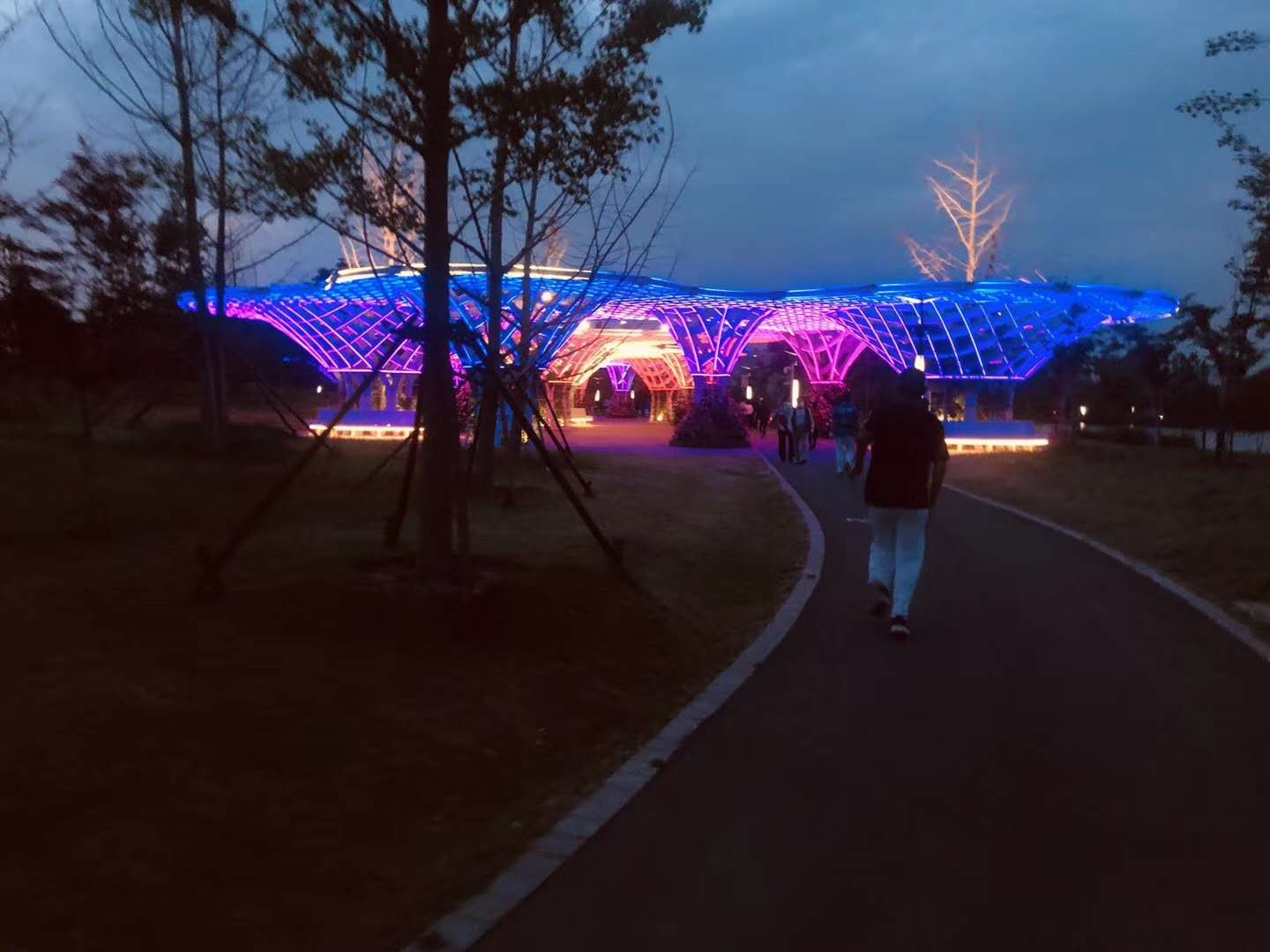 微信图片_202005132243472.jpg