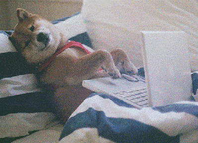 微信图片_20200516162448.gif