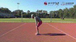 640.gif
