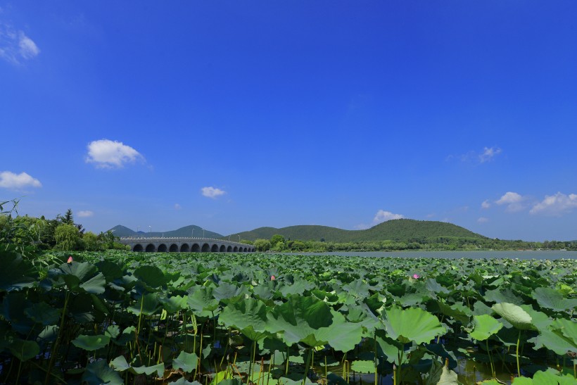 yunlonghu-011.jpg
