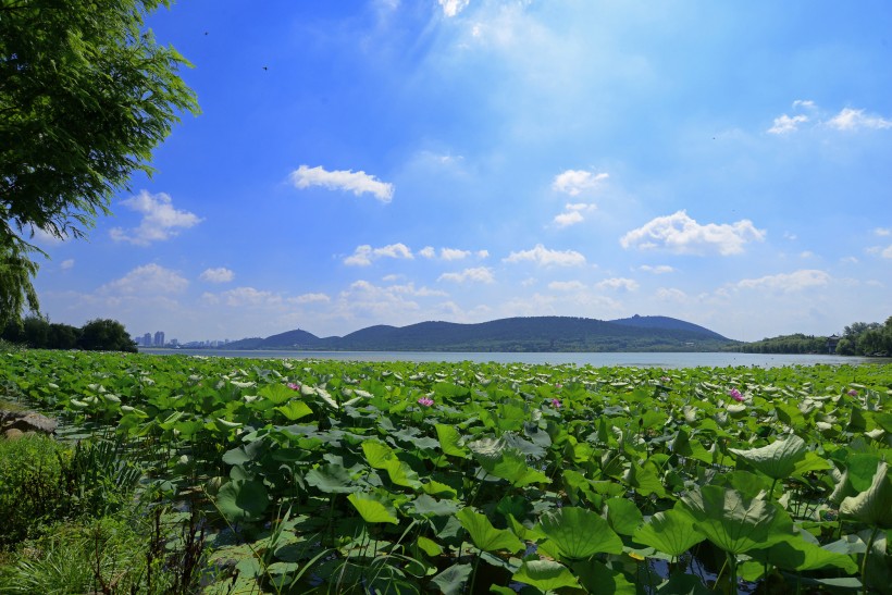 yunlonghu-010.jpg