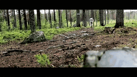 640 (38).gif