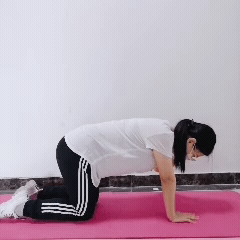 微信图片_20200614092659.gif