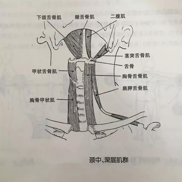 微信图片_20200713112452.jpg