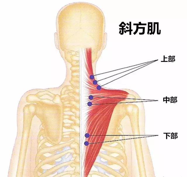 微信图片_20200713112448.jpg