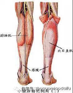 微信图片_20200715100605.jpg