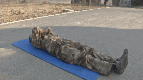 640 (16).gif