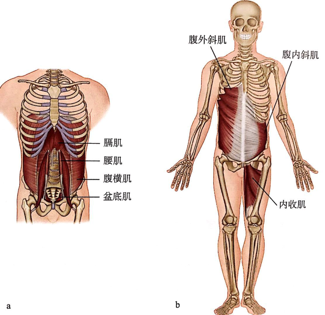640 (3).png