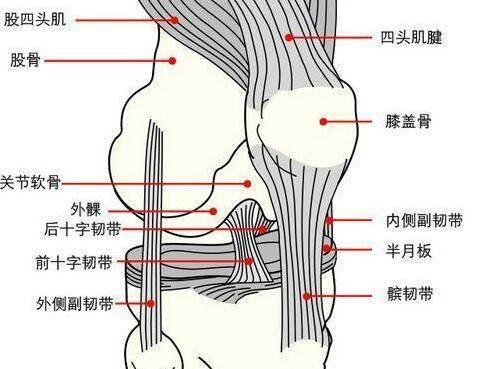 微信图片_20200904161330.jpg