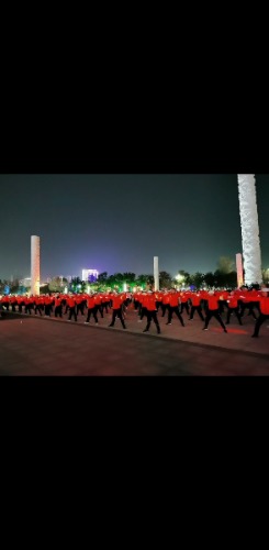 Screenshot_20201029_132741_com.huawei.himovie.jpg