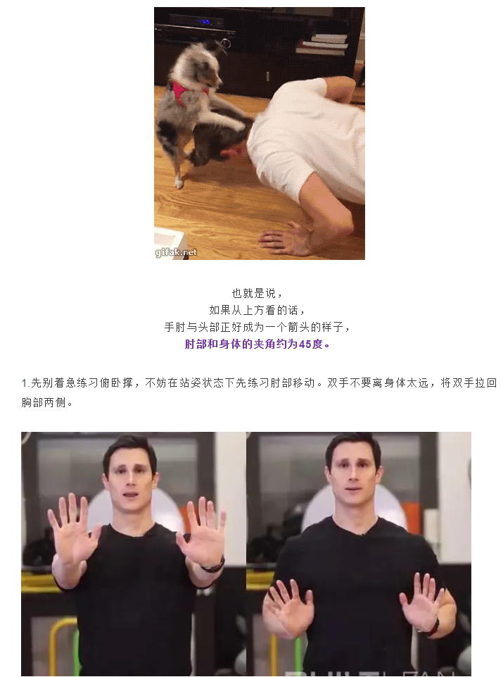 5.png