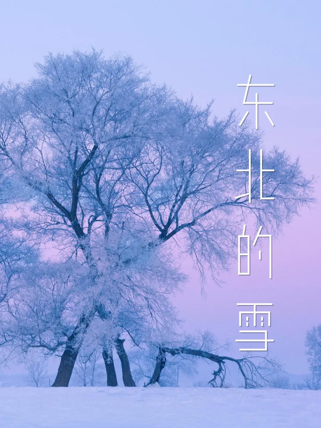 微信图片_20201119165129.jpg