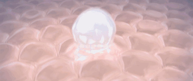 微信图片_20201122164115.gif