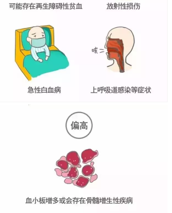 6.png