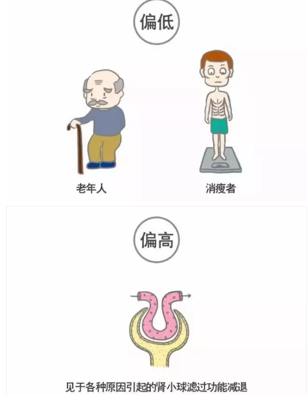 11.png