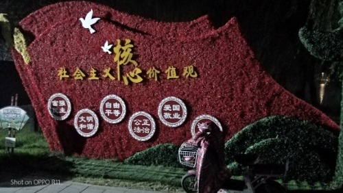 IMG20201202200444.jpg