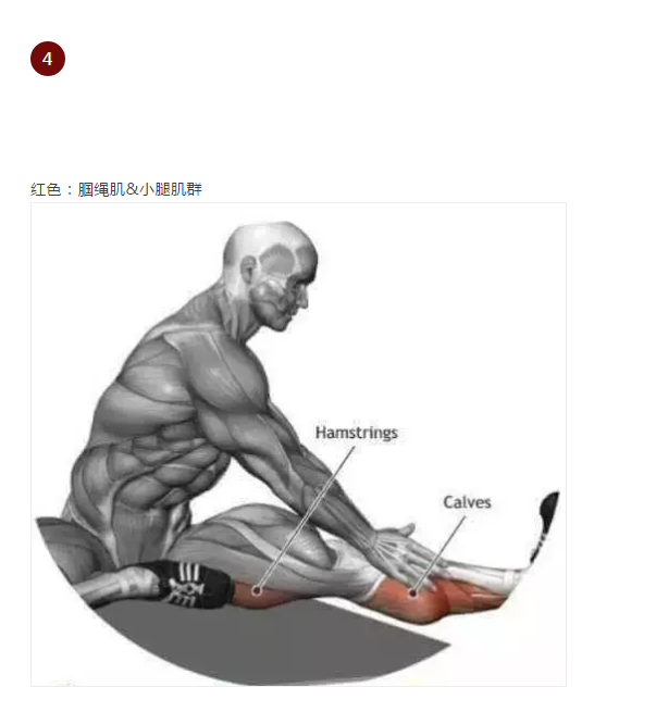 5.png