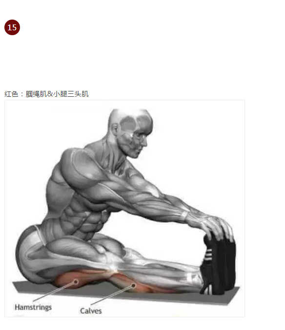 17.png