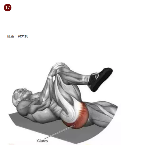 19.png