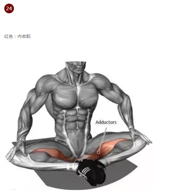 26.png