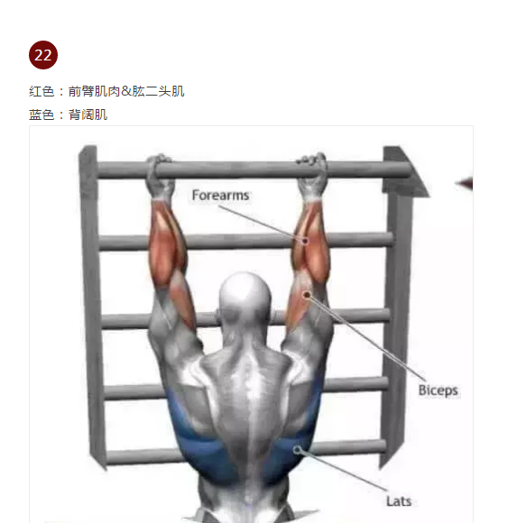 24.png