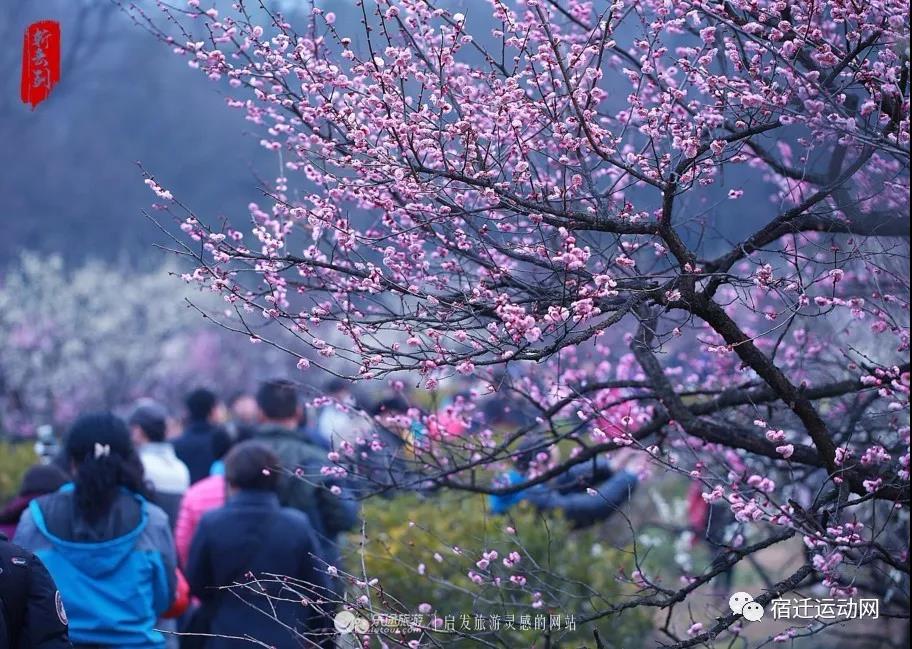 微信图片_20210216174926.jpg