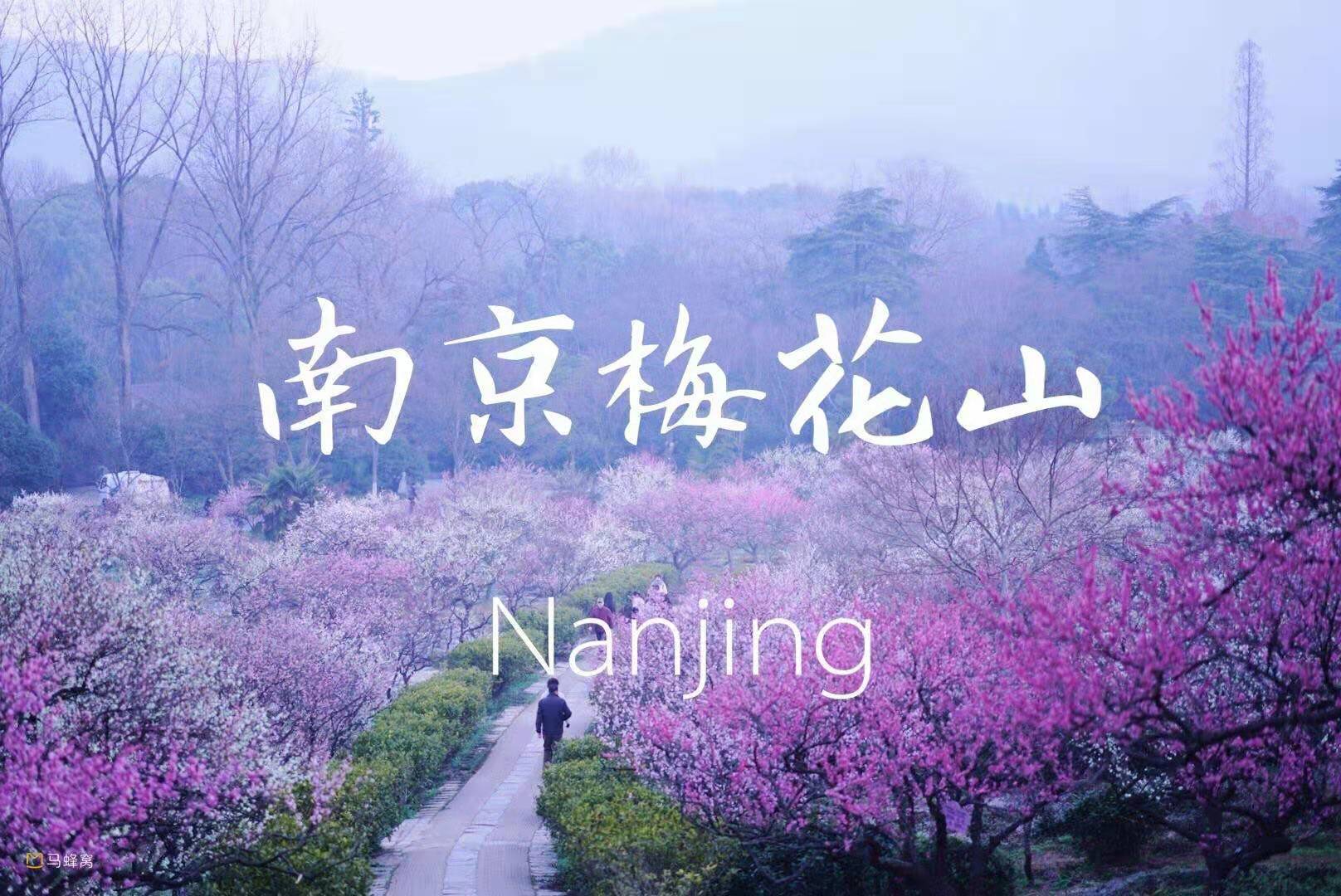 微信图片_20210216175918.jpg