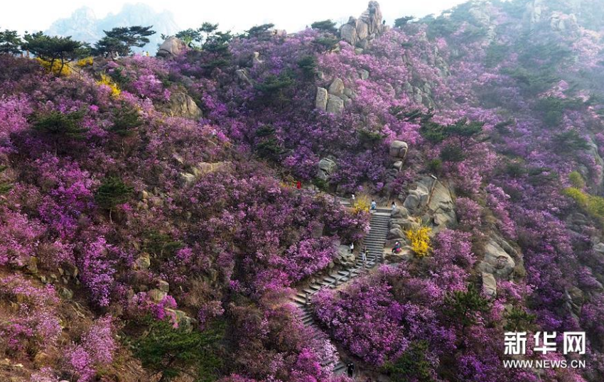 微信截图_20210322121250.png