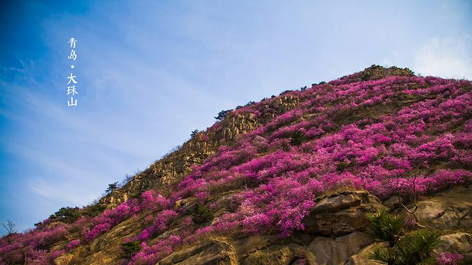src=http___img1.qunarzz.com_travel_d6_1504_84_f1b36ba36c7593.jpg_r_680x382x95_c4.jpg