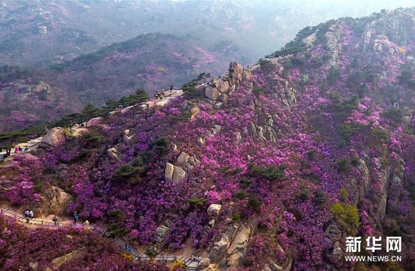 微信截图_20210322121237.png