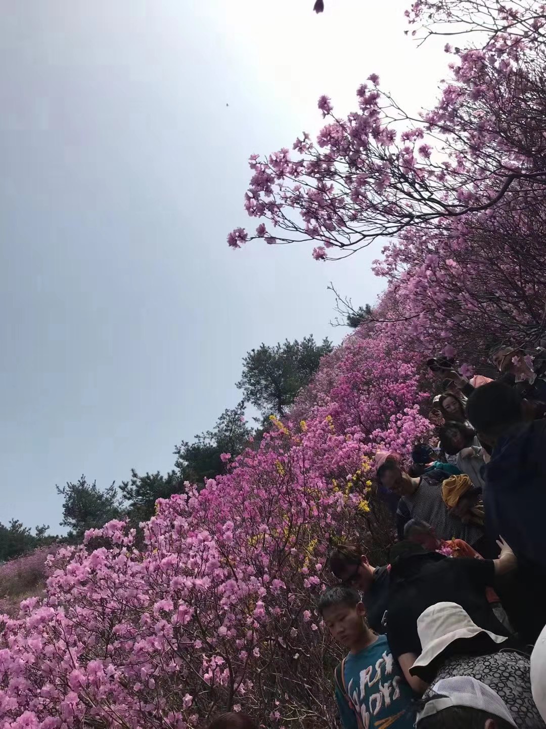 微信图片_20210328175904.jpg