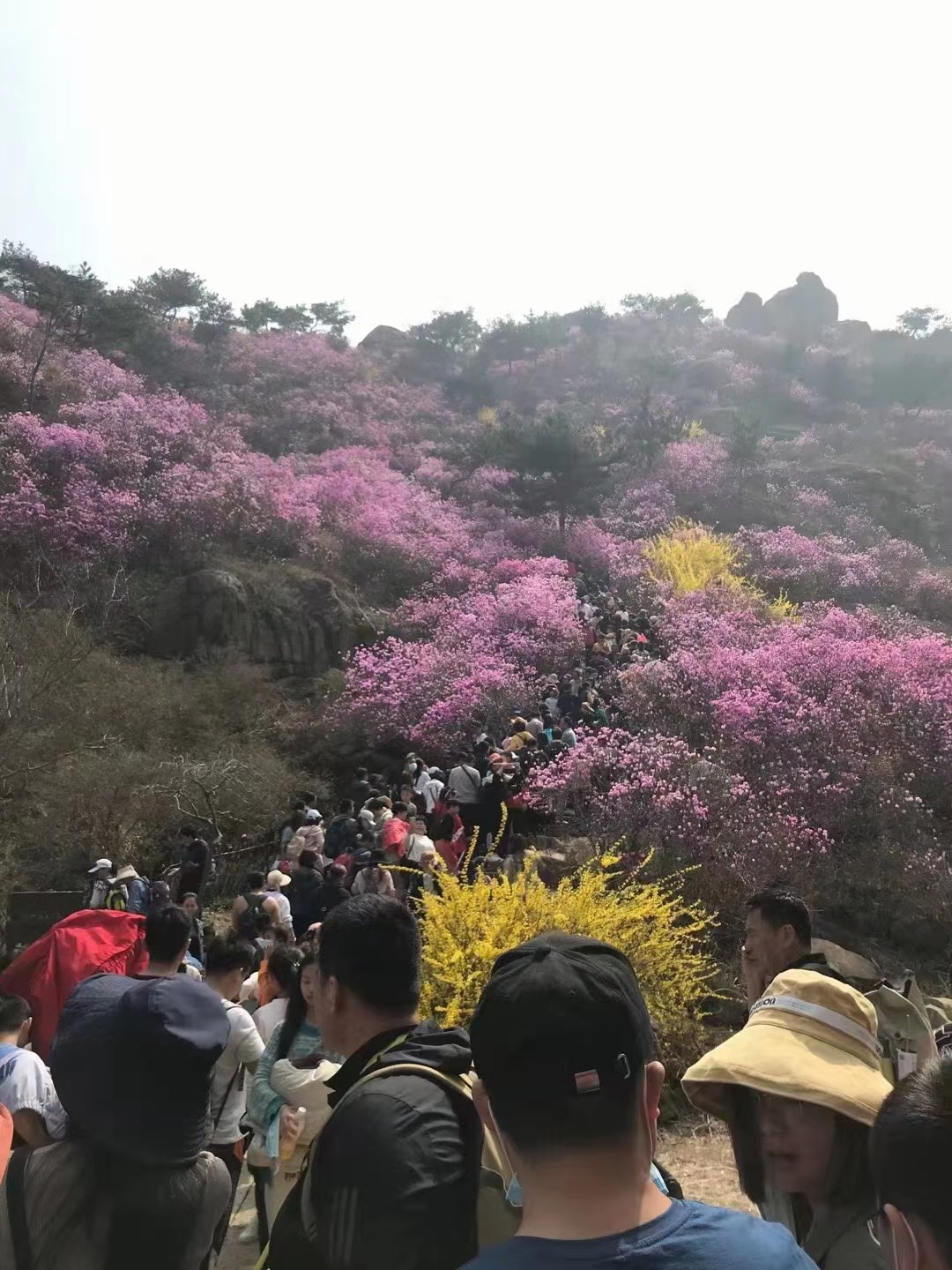 微信图片_20210328175900.jpg