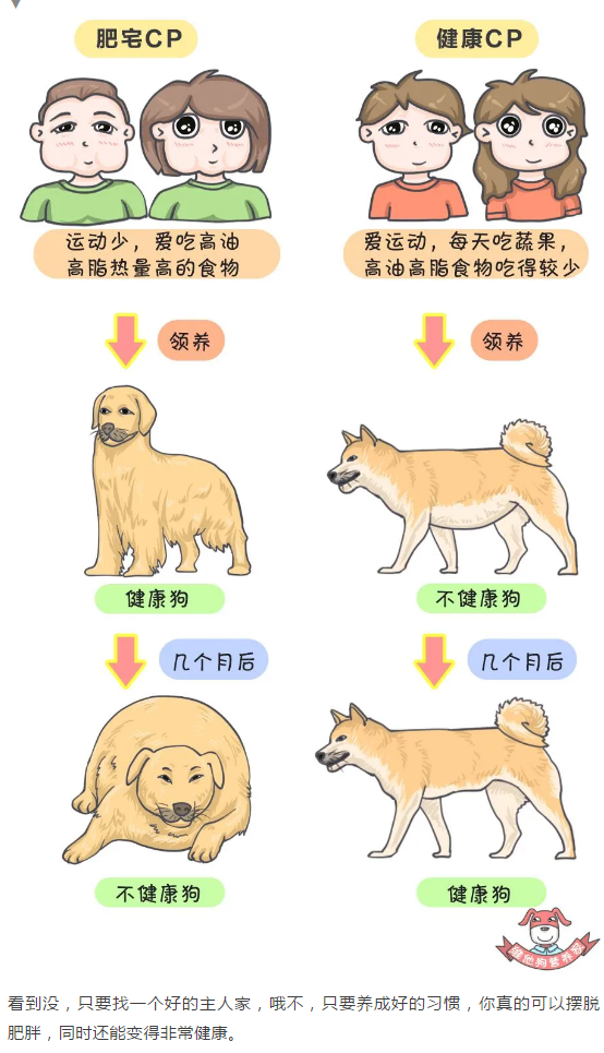 10.png