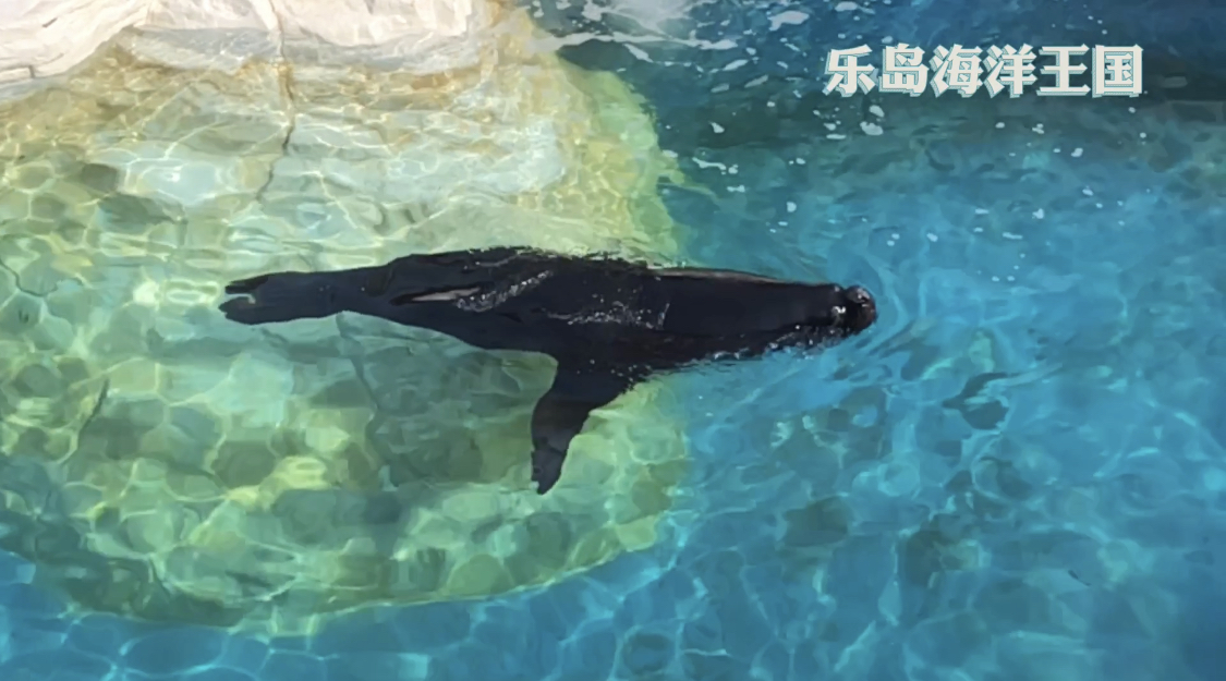 微信图片_20210502165739.jpg