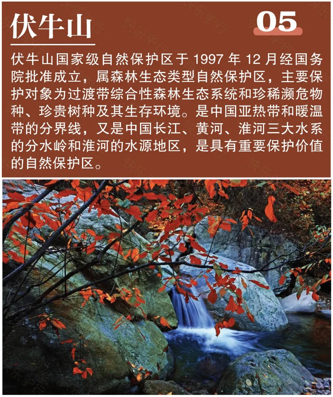 微信图片_20211018143243.jpg