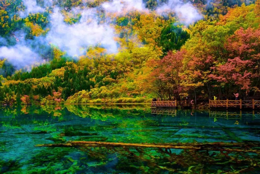 src=http___5b0988e595225.cdn.sohucs.com_images_20190925_cf4e436e7e5741f2bb4d9d9f.jpg
