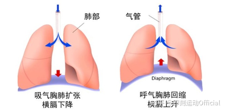 微信图片_20220223103300.jpg
