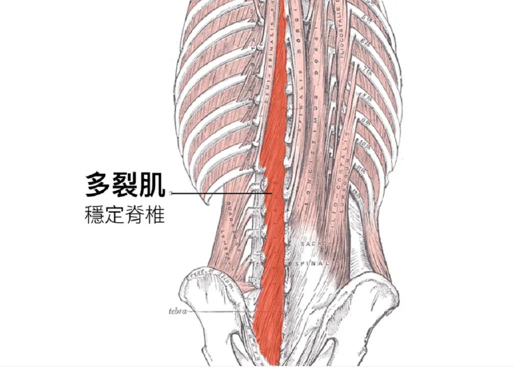 微信图片_20220225165218.png