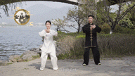 5.gif