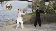 9.gif