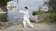1.gif
