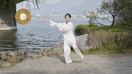 3.gif
