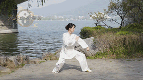 5.gif