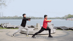 5.gif