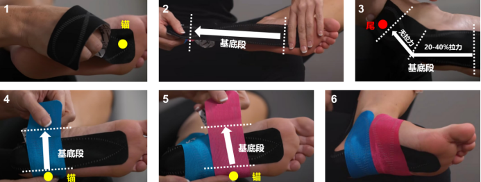 6.png