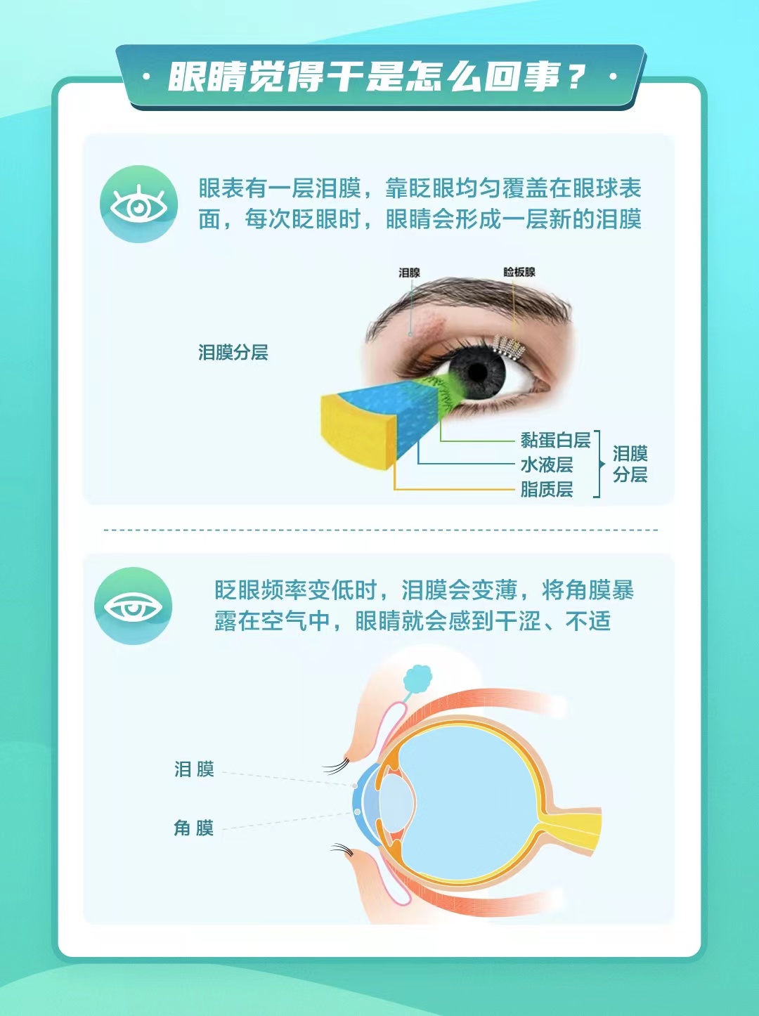 微信图片_202206061019013.jpg
