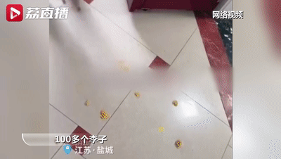 微信图片_20220704130528.gif
