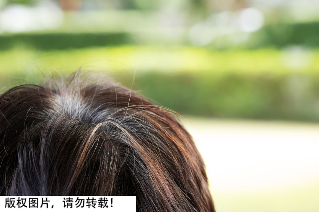 微信图片_20220706093953.png