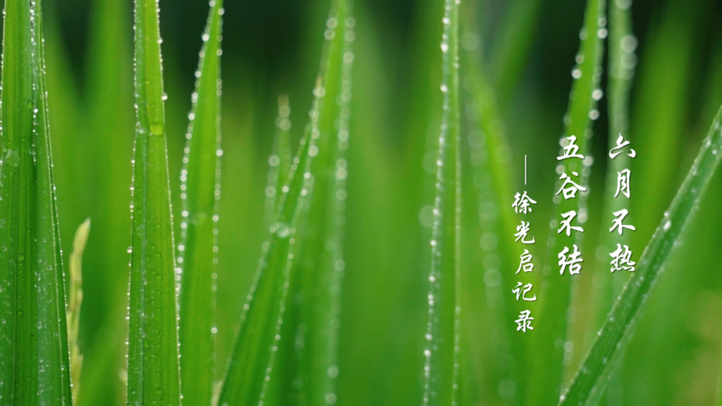 微信图片_20220707093649.png