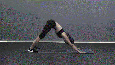 微信图片_20220714141933.gif